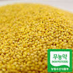 [��������]ģȯ��  ����500g