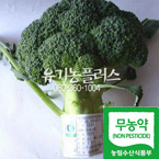 ��������ø�2��(1��� ��200g����)(�ܿ�ö�̶� ũ�� ū��)