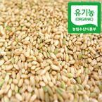 �����������5kg(��������)/ģȯ������