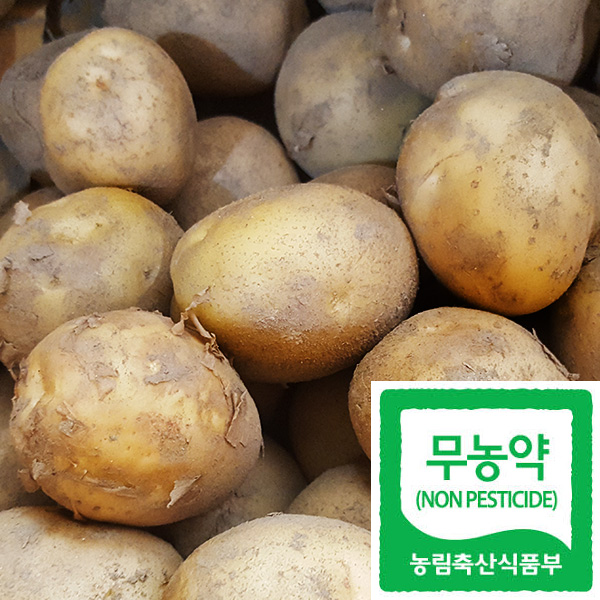 ������ް���3kg(�����ѻ�����(���))/�ް���(��,�丮 �� ��ñ� �� ������)