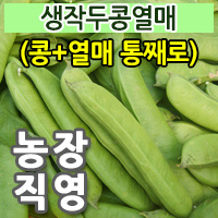  ���۵��῭��