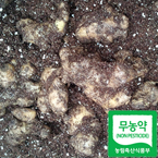 ��������� ���� 1kg(100%ģȯ������)