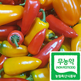 ��������� �̴� ������ī 1kg(ȥ��)